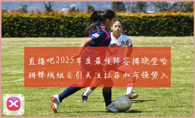 直播吧2025年度最佳阵容揭晓登哈姆锋线组合引关注拉菲加布强势入选