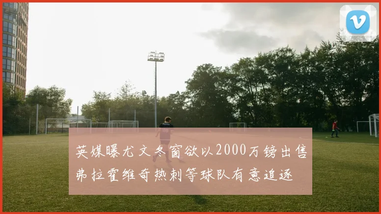 英媒曝尤文冬窗欲以2000万镑出售弗拉霍维奇热刺等球队有意追逐